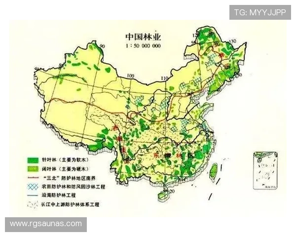 中国开云集团在中国的主要办公地点和分支机构分布情况分析